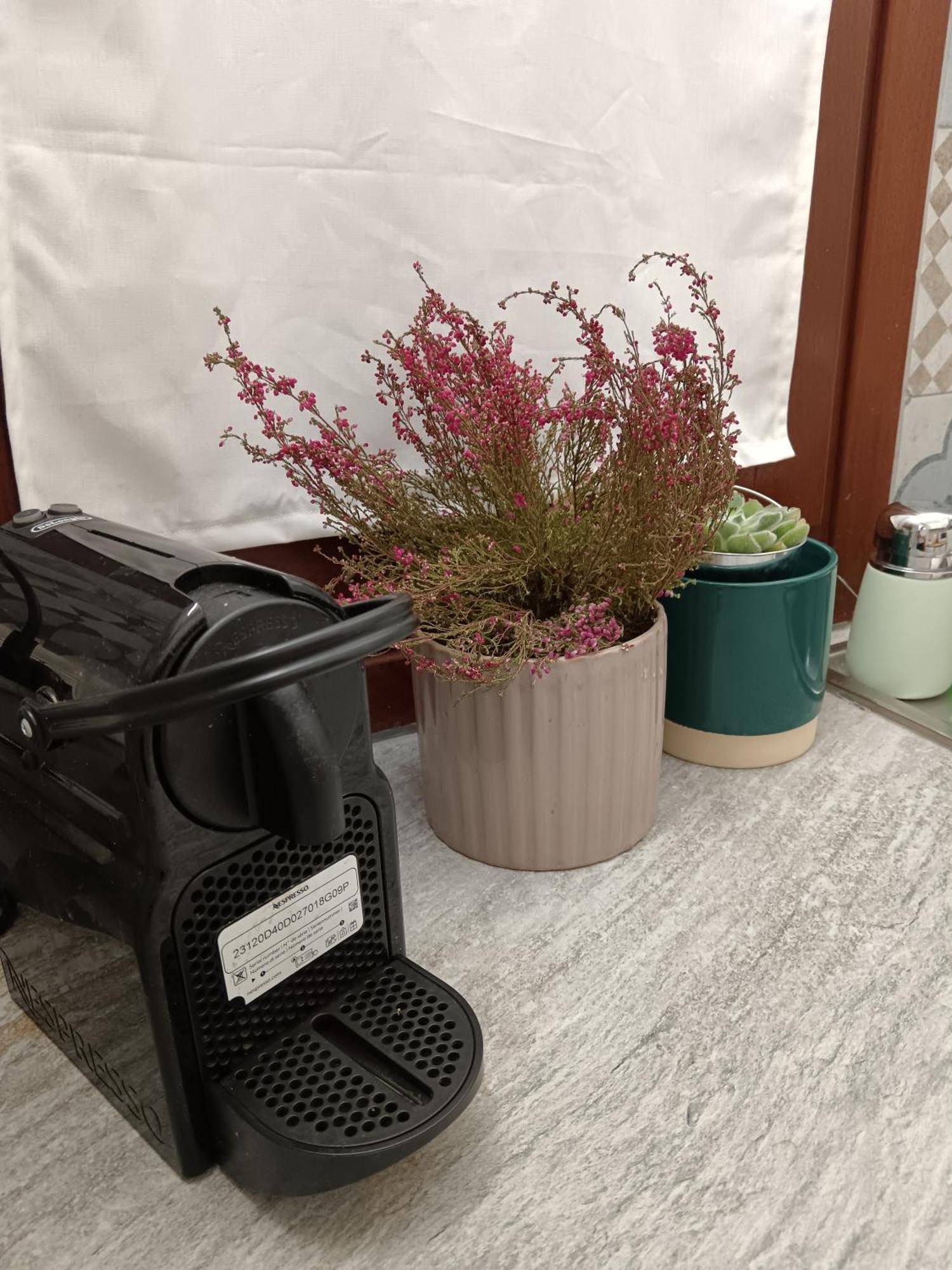 Casa Petri Home Spa Palermo Zewnętrze zdjęcie